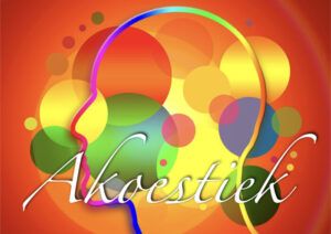 Lees meer over het artikel Workshop ‘Akoestiek’