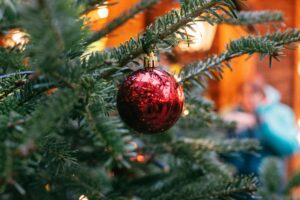 Lees meer over het artikel Canta Libre brengt de kerstsfeer dichtbij met feestelijke optredens!